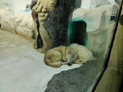 -大连圣亚海洋世界