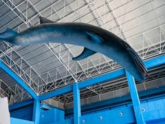 -泉城欧乐堡海洋极地世界