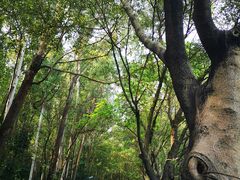 -南国桃园旅游度假区