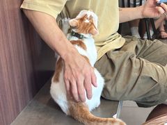 -Again Coffee Roaster(香蜜湖店)