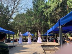 -白马涧龙池景区