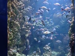 -海合安青岛极地海洋公园