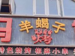 -老冯烤羊蝎子馆(望京店)