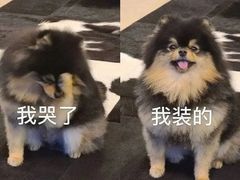 -清真·马洪小炒泡馍馆(钟楼回民街店)