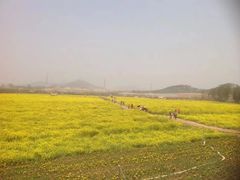 -西海岸生态观光园
