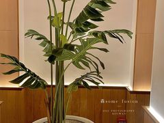 -森Some Fusion(荔湾店)