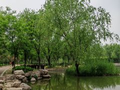 -太阳宫公园