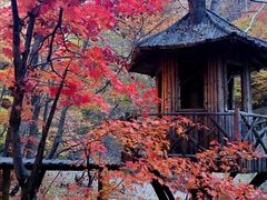 -丹东天桥沟景区