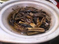 -陈记菜馆·非遗淮扬菜(东关街教场店)