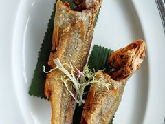 -上海新锦江大酒店