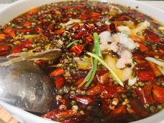 -眉州东坡(团结湖店)