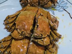 -呼吸森林·生态农庄农家乐私房菜