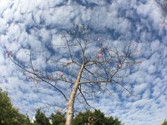 -华南师范大学(广州大学城校区)