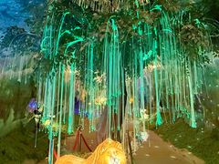 -栾川竹海野生动物园