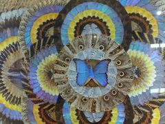 -上海昆虫博物馆