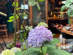 -泉乐坊步行街(烟酒特产平价超市店)