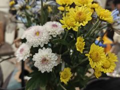 -中田健身工作室(嘉定江桥店)