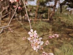 -朝阳公园
