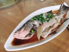 -七鲜渔港美食餐厅(巽寮湾海景店)