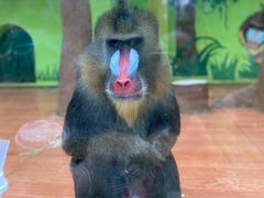 -荆州中山公园动物园