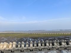 -南汇嘴观海公园