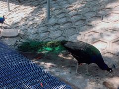 -北京鹿世界主题园