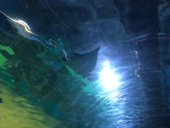 -常州海昌海洋探索馆