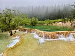 -黄龙山原始森林景区