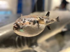 -舟山博物馆