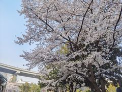-南浦大桥长途旅游客运站