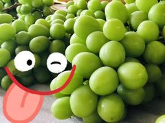 -三亚新鸿港水果一级批发市场