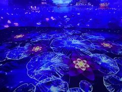 -乌鲁木齐奥林匹克体育中心