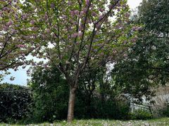 -扬州瘦西湖汇金酒店