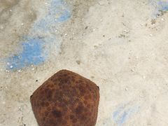-重庆欢乐海底世界