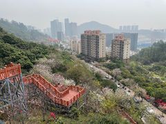 -小南山公园