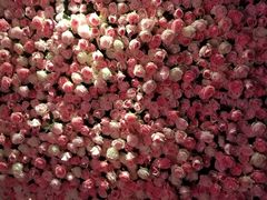 -范特西FANTASY量贩式KTV(民主广场店)