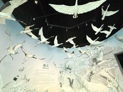 -中国湿地博物馆
