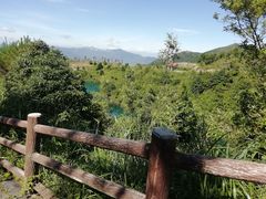 -军营村