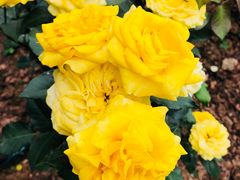 -人民公园(罗湖区)