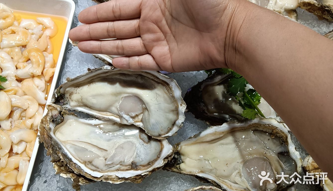 吃货日记：今天尝鲜生蚝