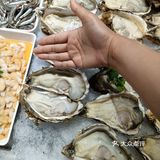 吃货日记：今天尝鲜生蚝
