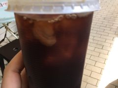 -罗汉果龙眼冰糖燉冬瓜