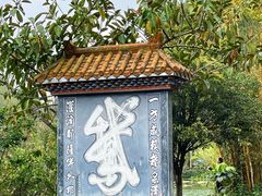 -靖西鹅泉风景区