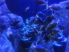 -成都浩海立方海洋公园