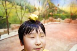 -宝燕乐园(闵行旗舰店)