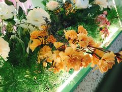 -蜜桃花开·中西融合菜E&W(南长街店)