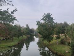 -溱湖国家湿地公园