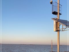 -上海滨江森林公园