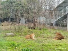 -西安秦岭野生动物园
