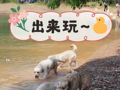 -青龙山国家森林公园